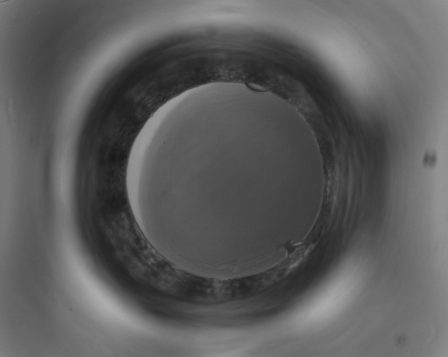 X0000093730383200711061006