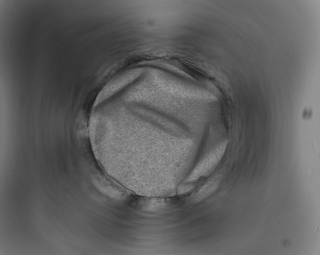 X0000093730384200711061006