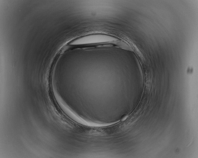 X0000093730386200711061006