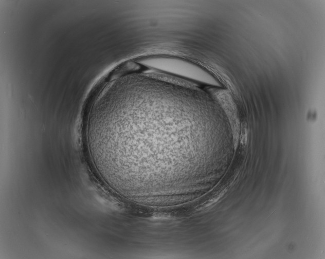 X0000093730388200711061006