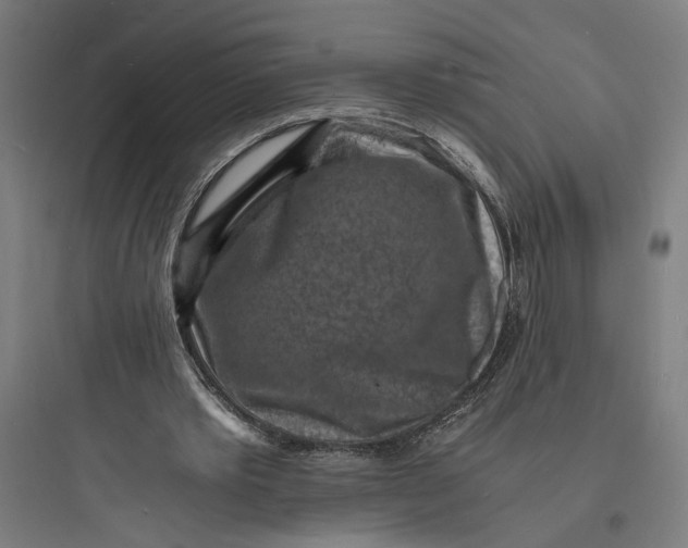 X0000093730389200711061006