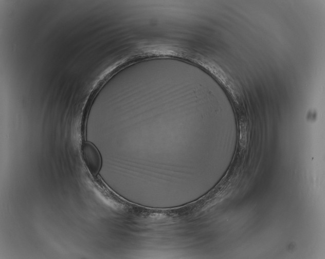 X0000093730390200711061006