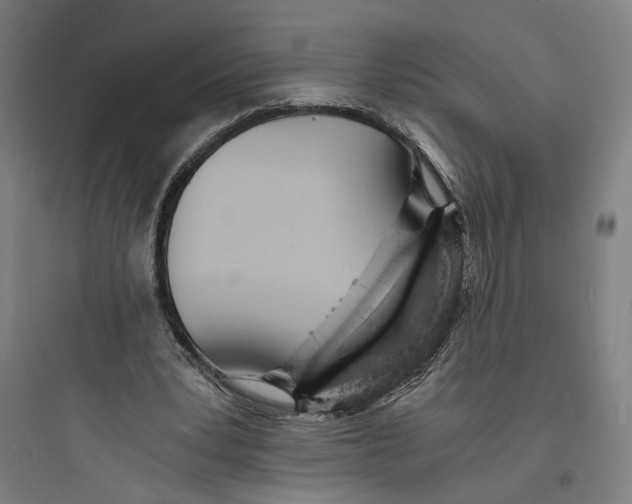 X0000093730391200711061006