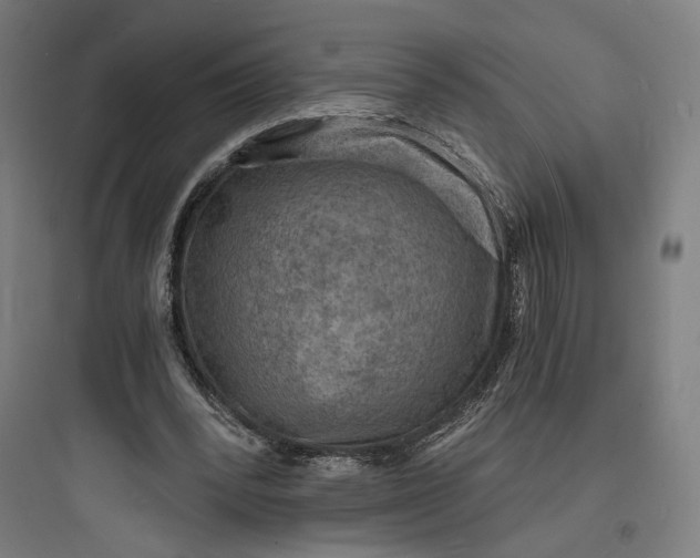 X0000093730392200711061006