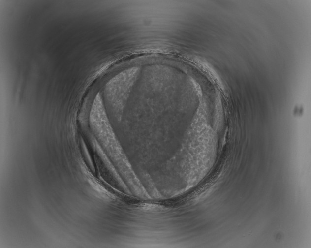 X0000093730393200711061006