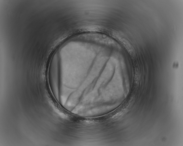 X0000093730394200711061005