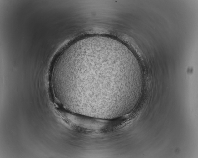 X0000093730395200711061005