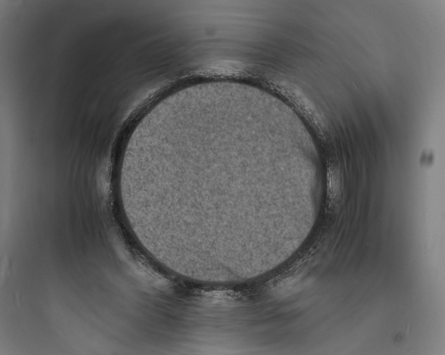 X0000093730396200711061005