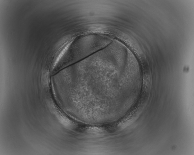 X0000093730397200711061005