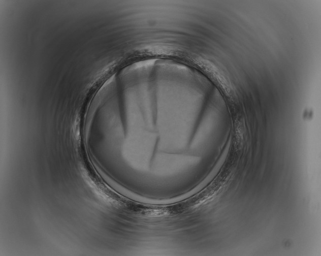 X0000093730398200711061005