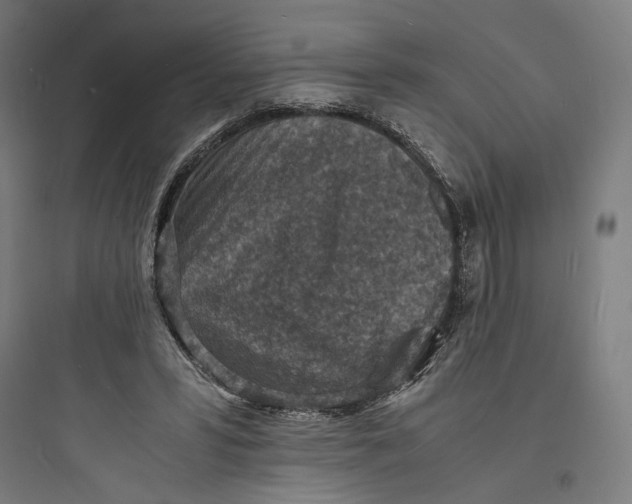 X0000093730399200711061005