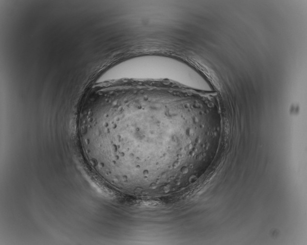 X0000093730401200711061005