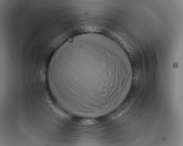 X0000093730402200711061005