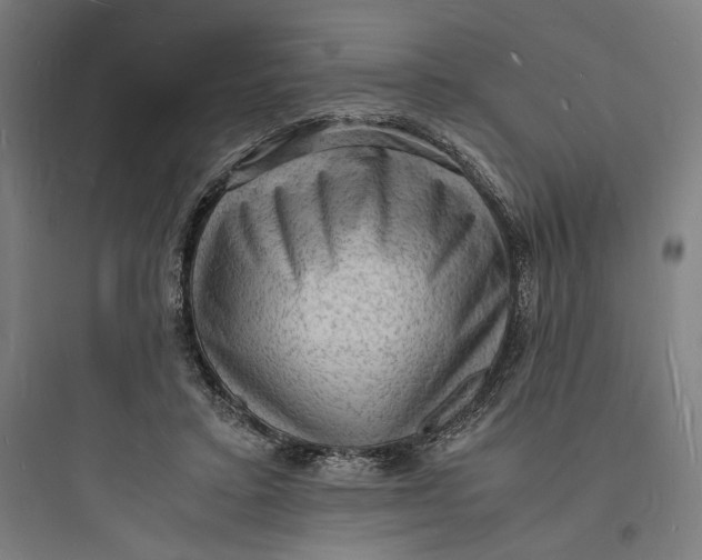 X0000093730403200711061005