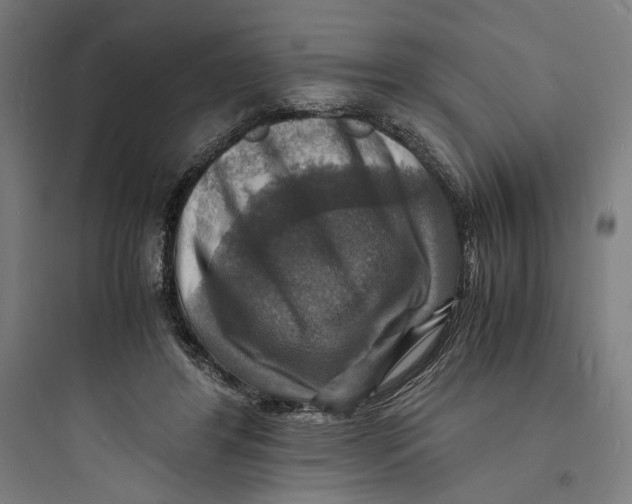 X0000093730404200711061005