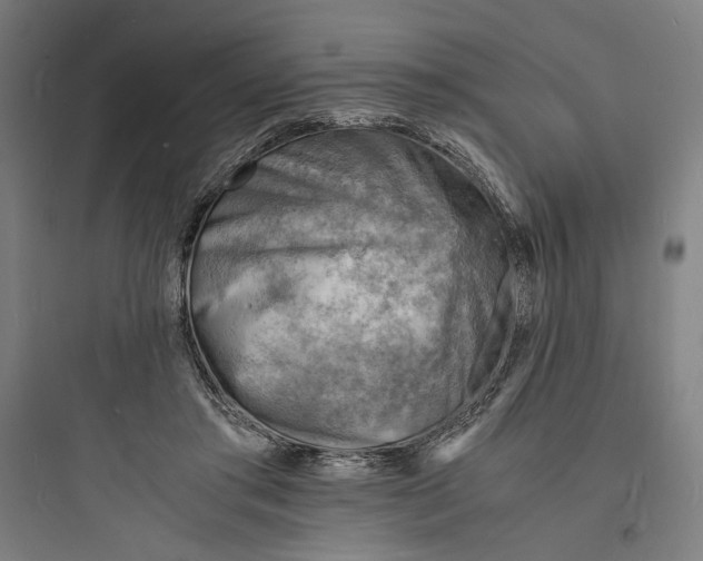 X0000093730405200711061005