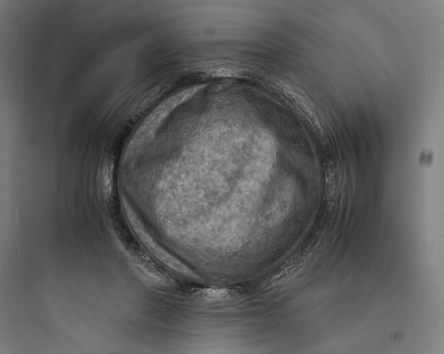 X0000093730406200711061005