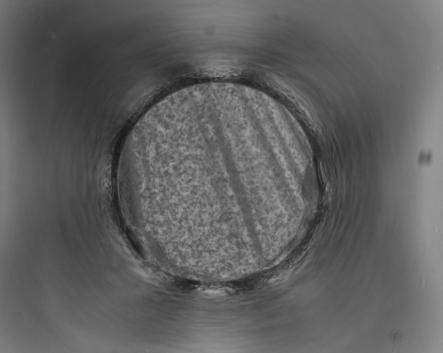 X0000093730407200711061005