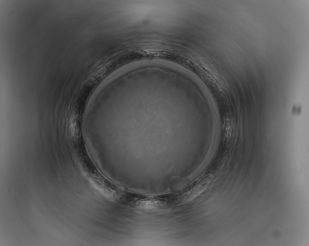 X0000093730408200711061005