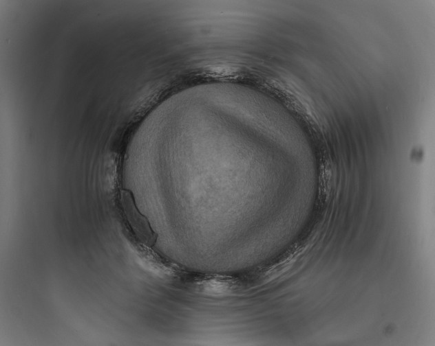 X0000093730412200711061005