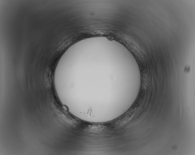 X0000093730414200711061005