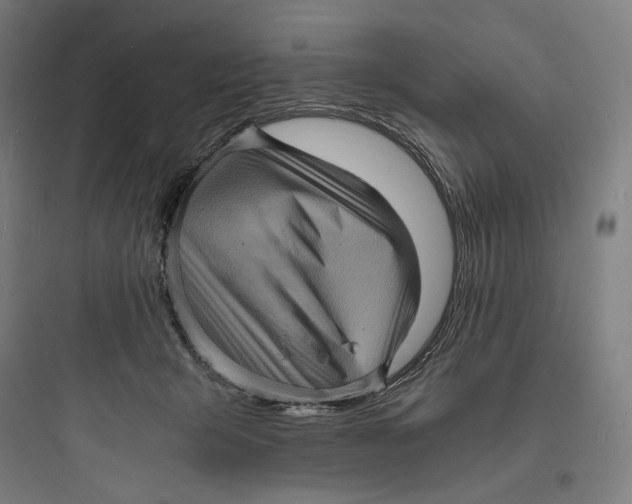 X0000093730415200711061005