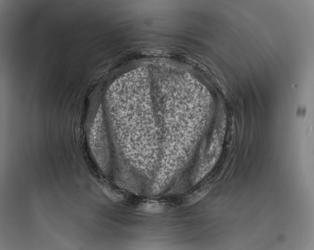 X0000093730416200711061005