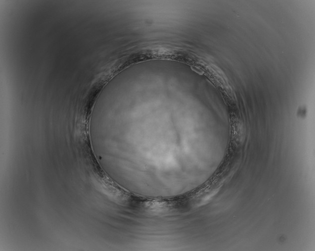 X0000093730419200711061005