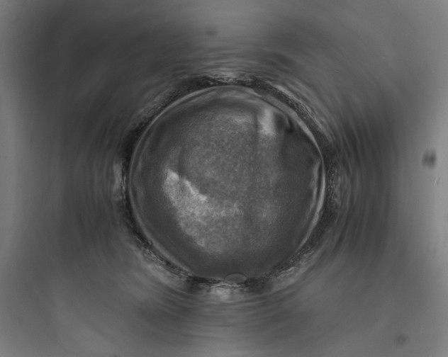 X0000093730420200711061005