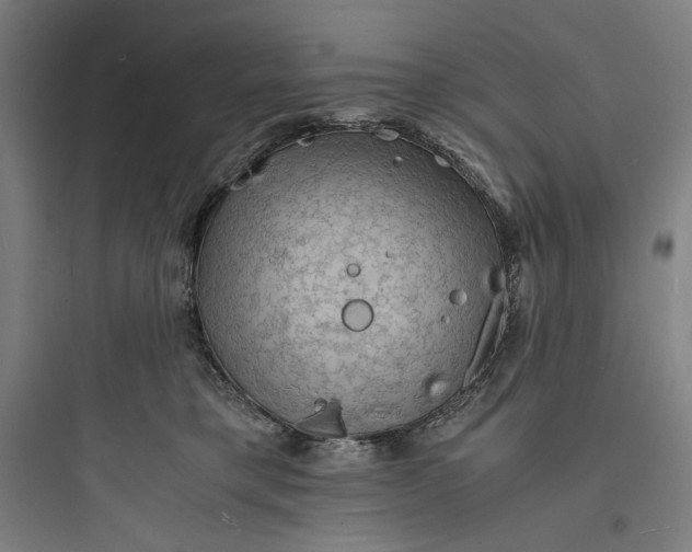 X0000093730421200711061005