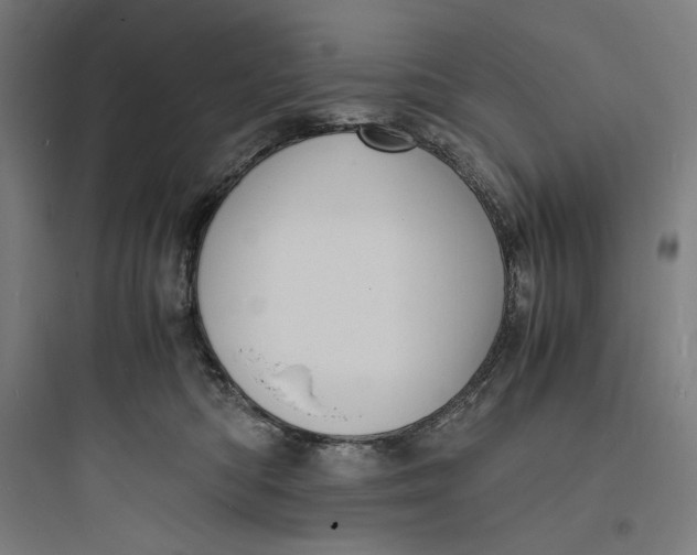 X0000093730422200711061005