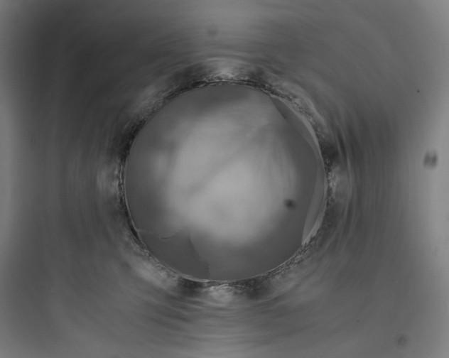 X0000093730423200711061005