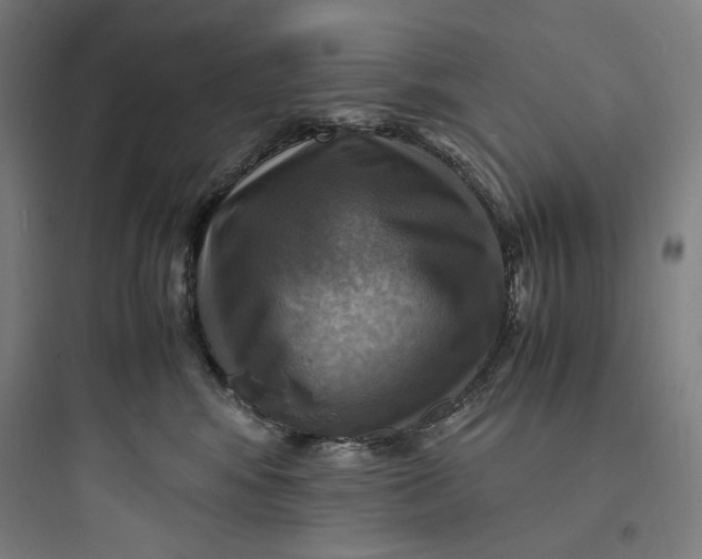 X0000093730424200711061005