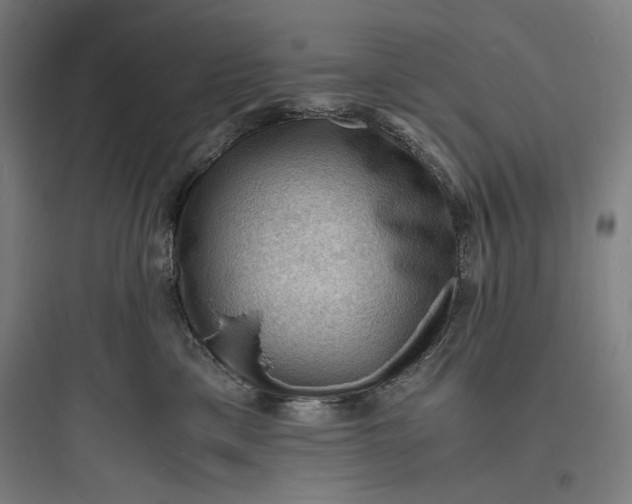 X0000093730425200711061005