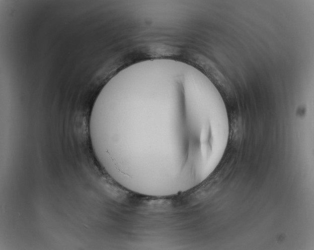 X0000093730426200711061005