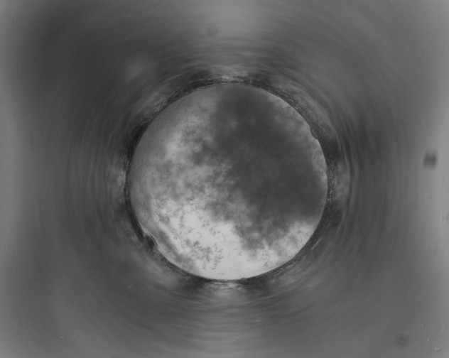 X0000093730427200711061005