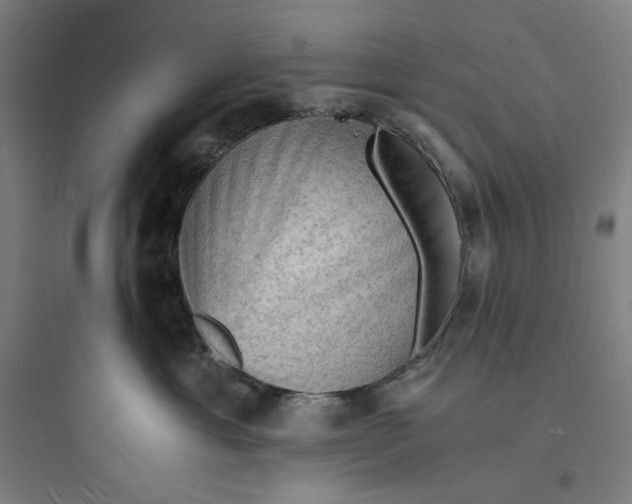 X0000093730429200711061005