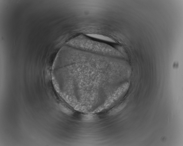 X0000093730432200711061005