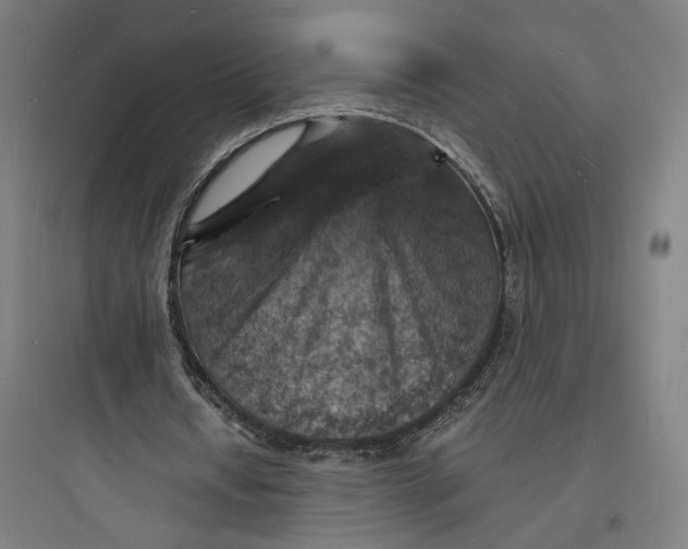 X0000093730434200711061004