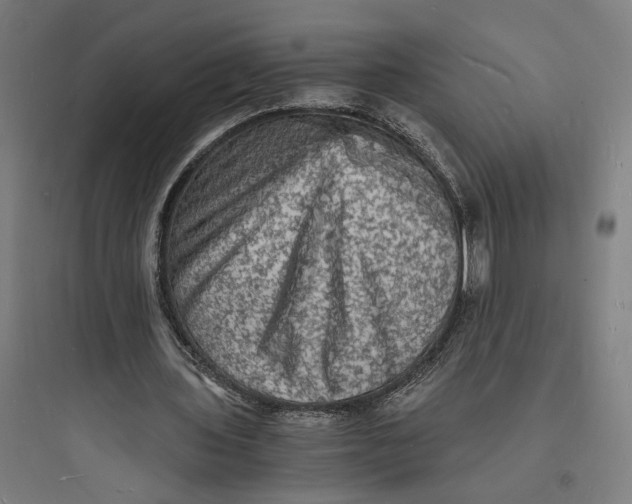 X0000093730435200711061004