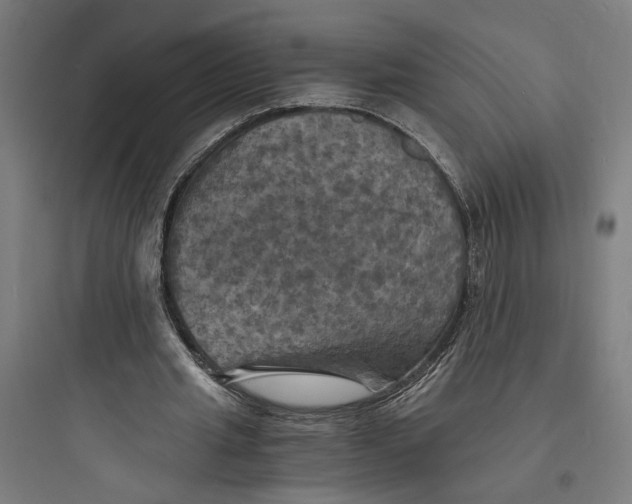 X0000093730437200711061004