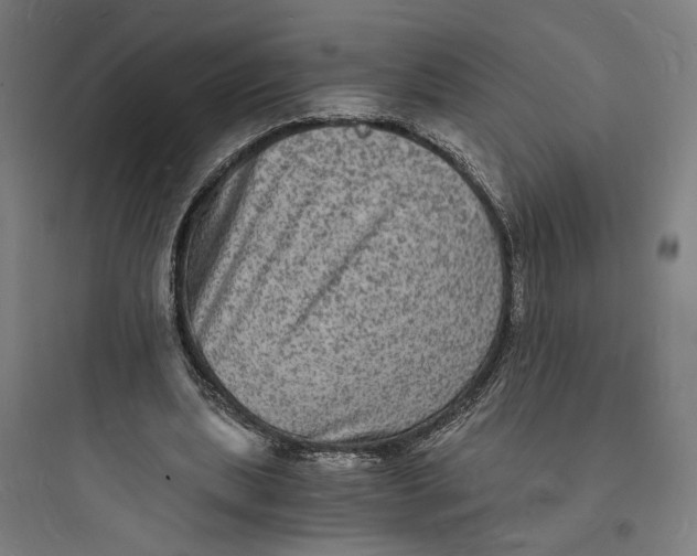 X0000093730439200711061004