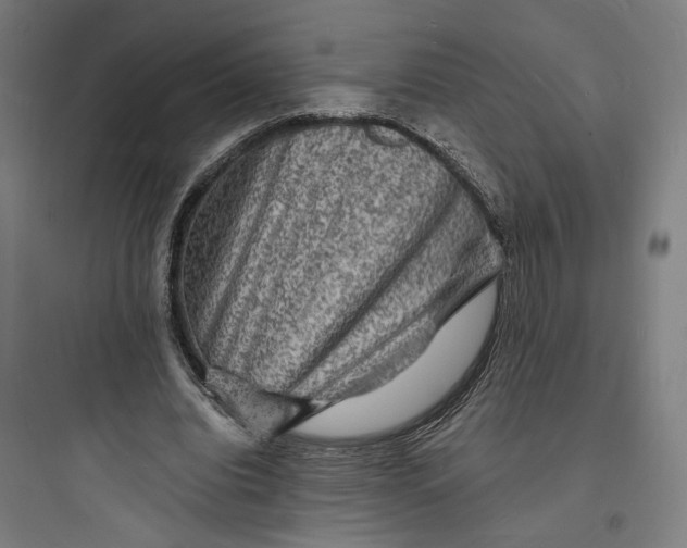 X0000093730440200711061004