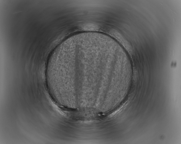 X0000093730441200711061004