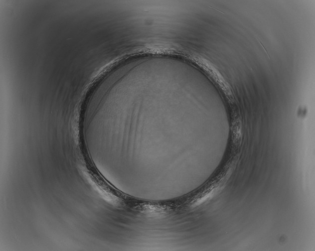 X0000093730442200711061004