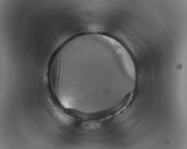 X0000093730443200711061004