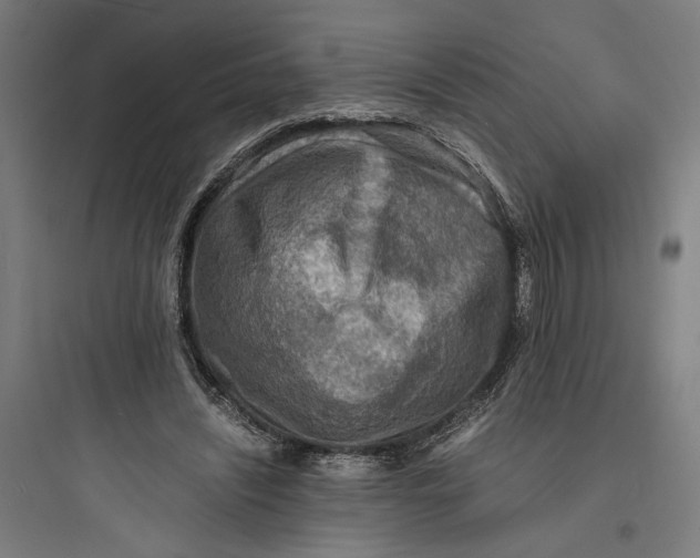 X0000093730444200711061004