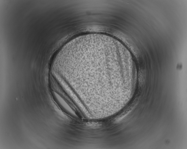 X0000093730445200711061004