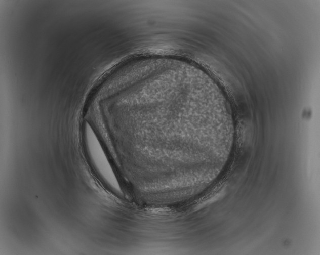 X0000093730446200711061004