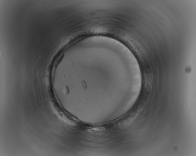 X0000093730447200711061004